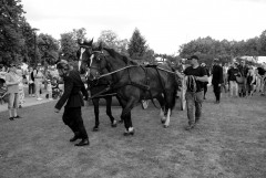 1DSC_0890_1600x1070.JPG