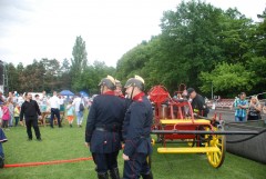 DSC_0981.jpg
