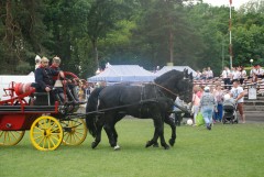 DSC_1000_21.jpg