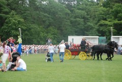 DSC_1000_29.jpg
