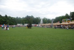 DSC_1000_30.jpg