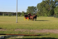 IMG_8886.jpg