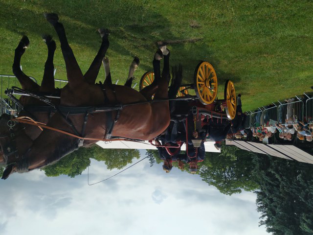 IIIMG 20250608 134450 640x480